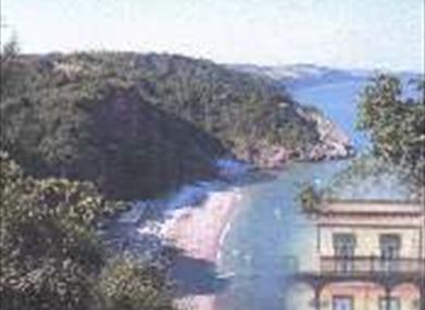 Headland View