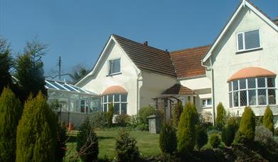 English Riviera Special Offers with Dogs!